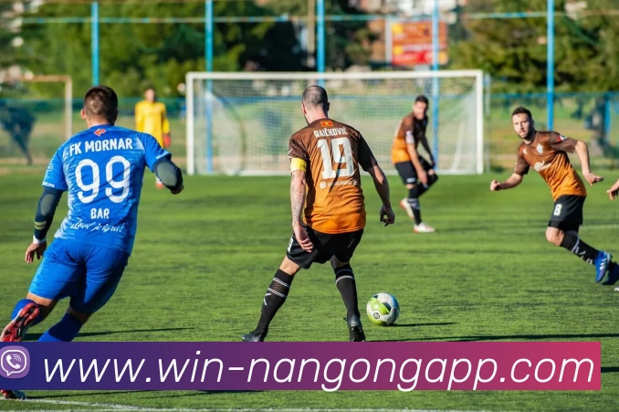 南宫体育APP 封面图